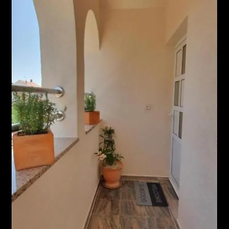 Zelic דירה זאדאר