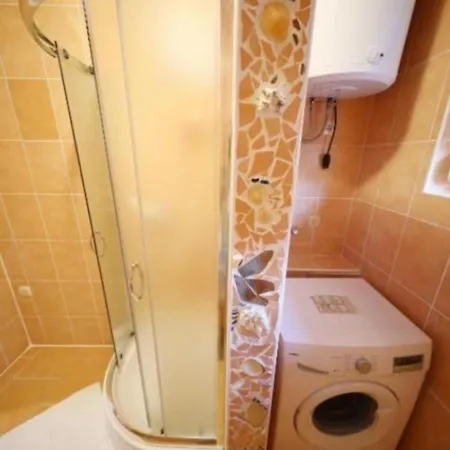 Zelic דירה זאדאר